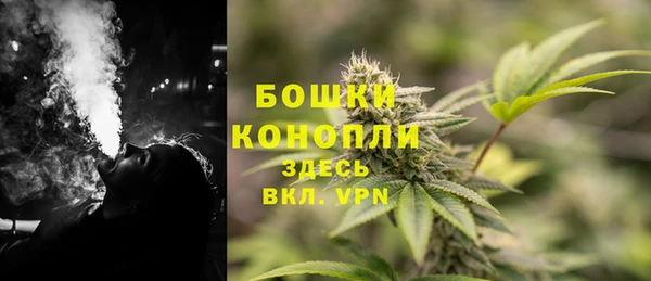 ешки Осинники