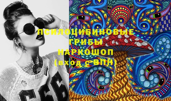индика Навашино